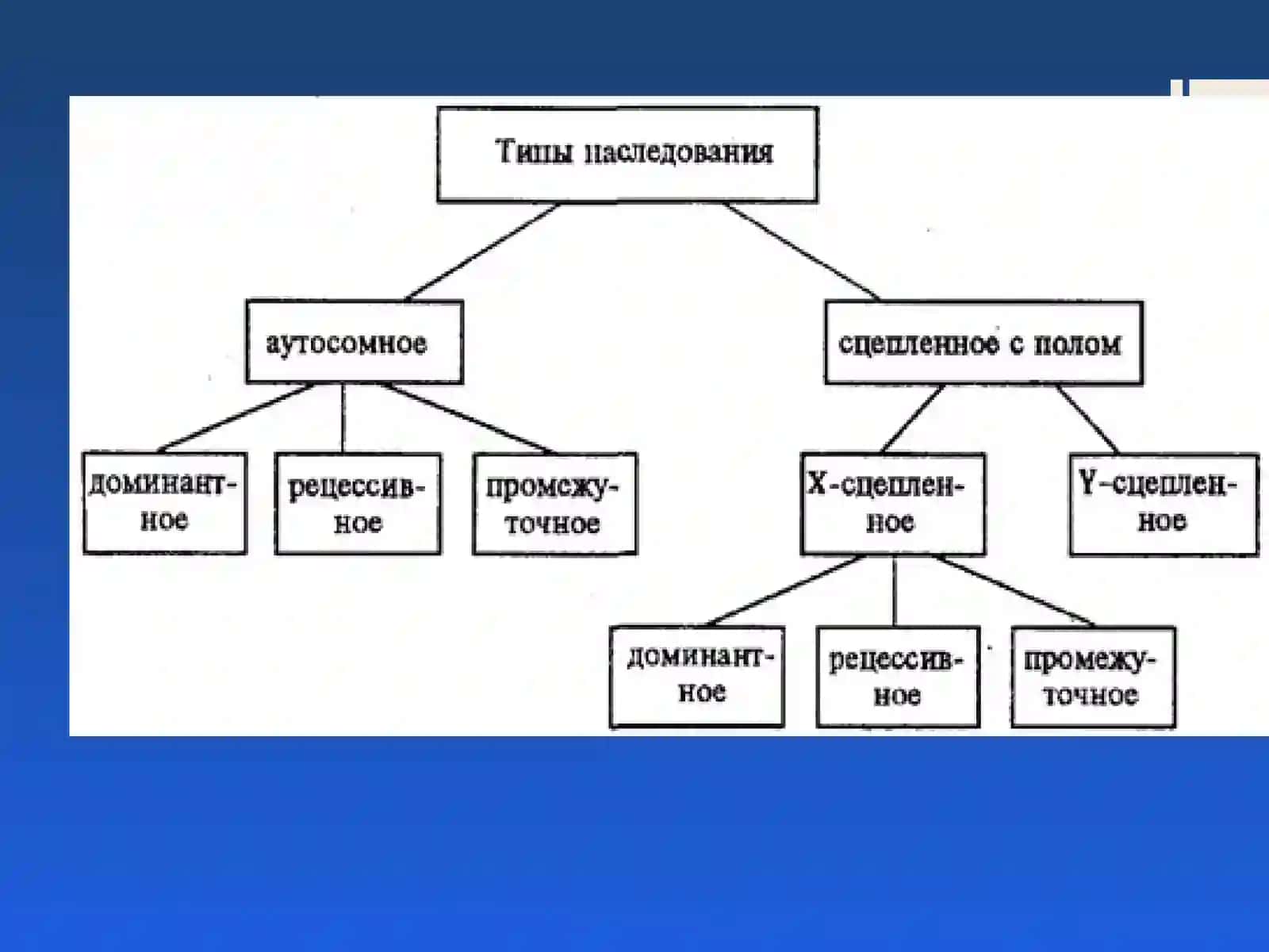 Наследственные формы глухоты и тугоухости в детском возрасте 3