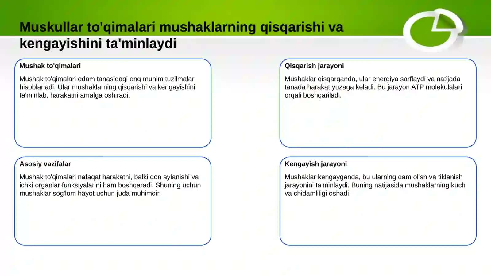 Muskullar sistemasi 3
