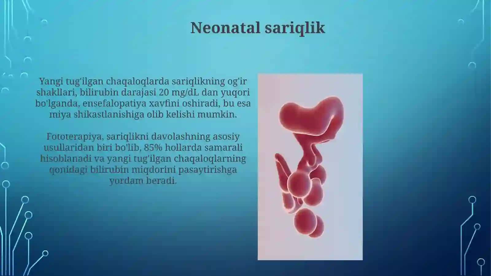 Jigarning prental va postnatal rivojlanishi 3