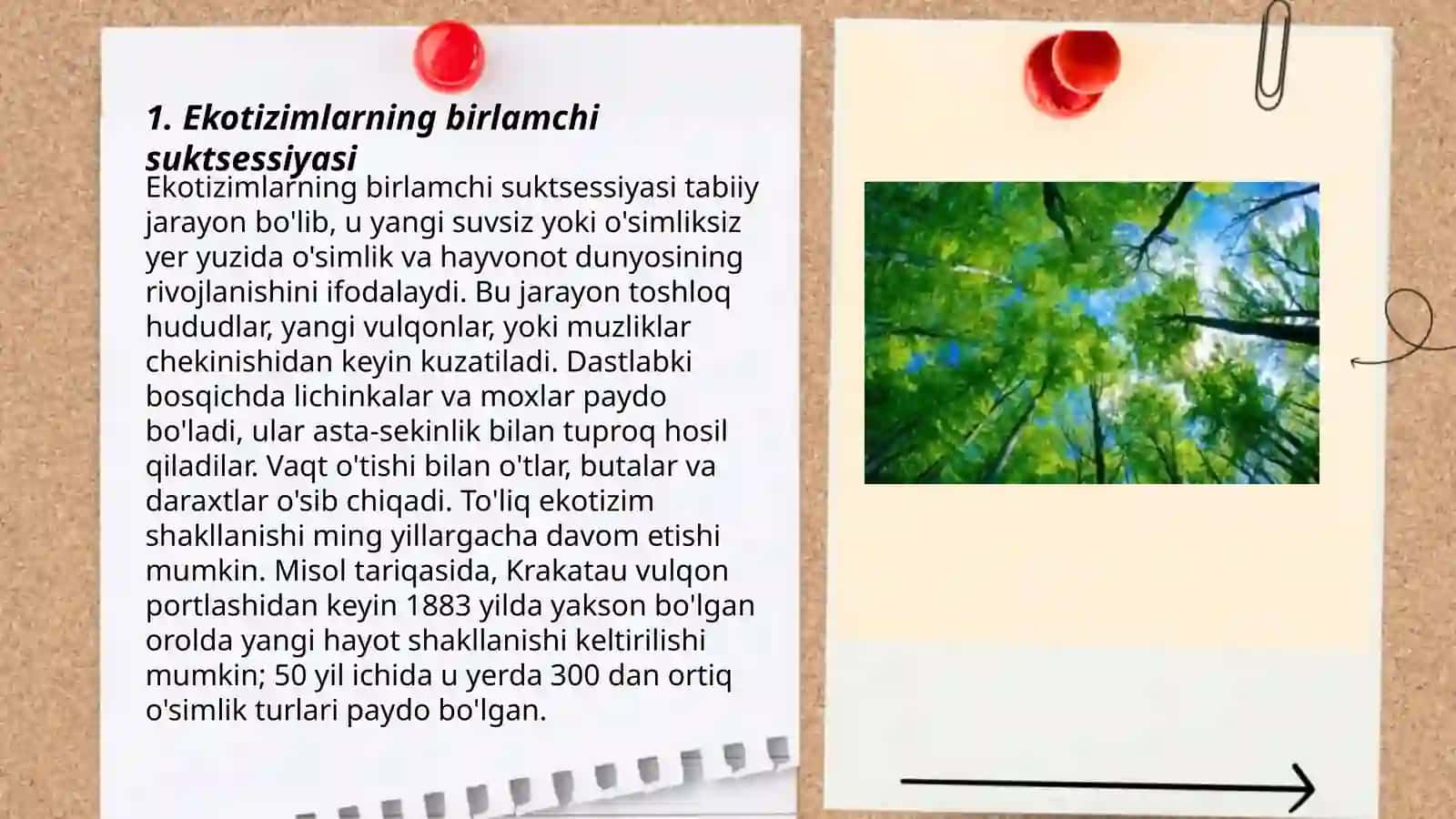 Ekotizmlarning oʻzgarishi. Suktsessiya hodisasi 3