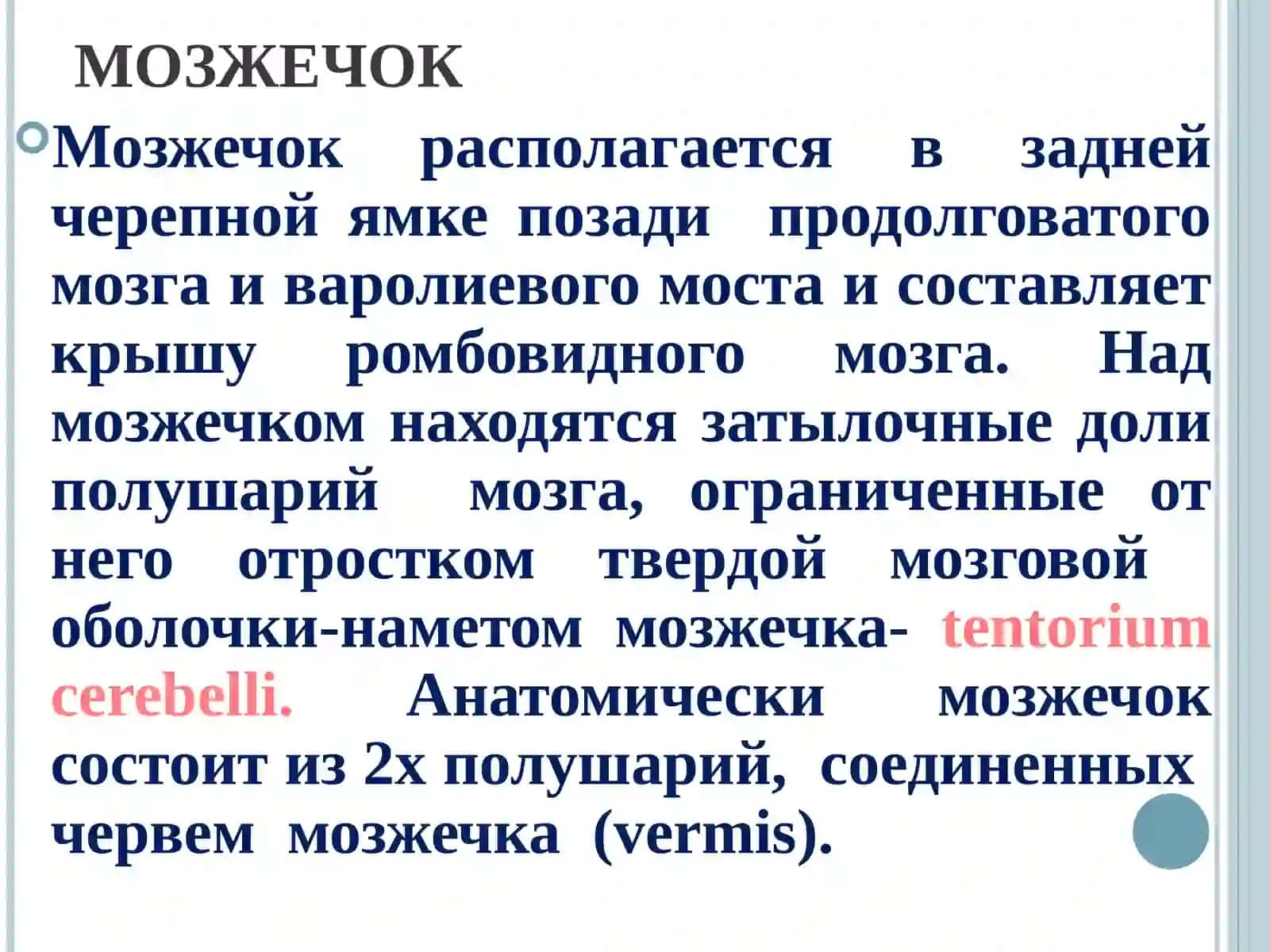 Экстрапирамидная система и мозжечок 3