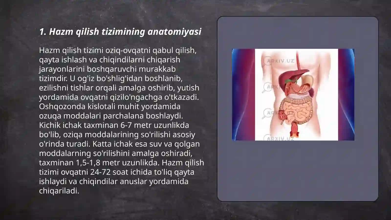 Hazm qilish tizimi 3
