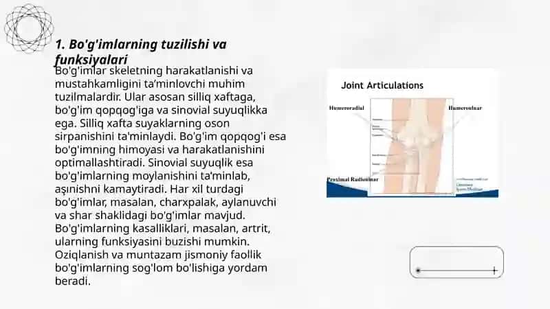 Bo'g'imlarning biomexanikasi 3