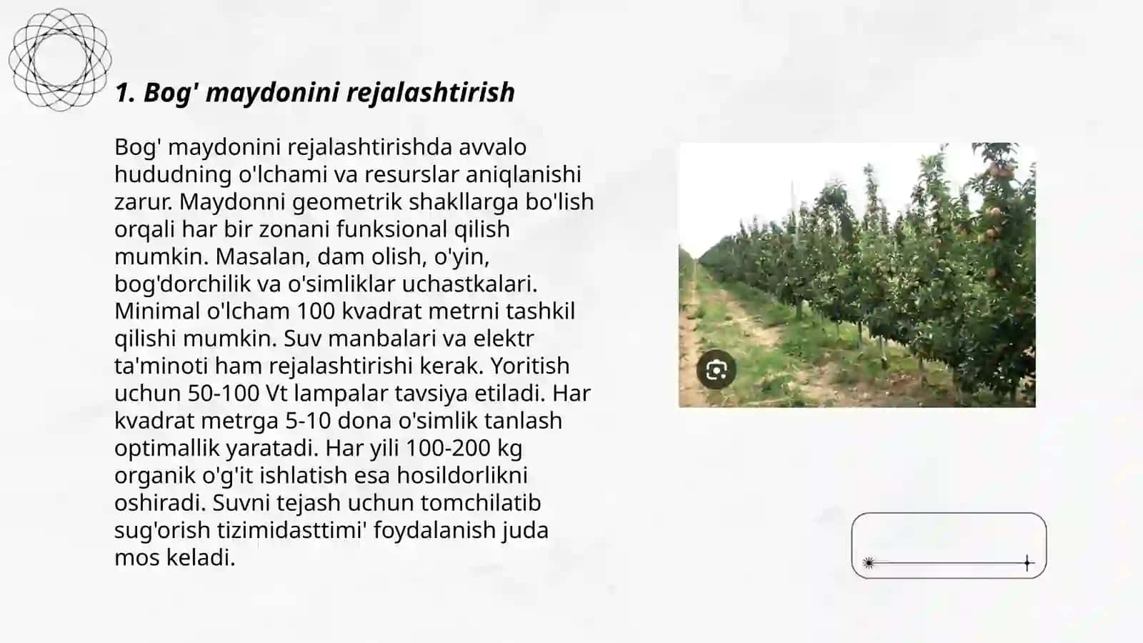 Xudoyberdiyeva sarvinoz 3