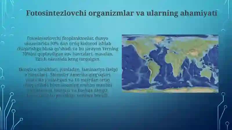 Dunyo okeani biomlari 3