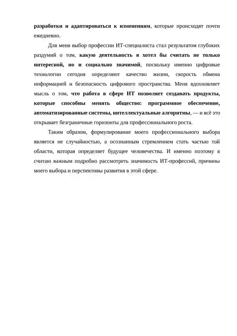 Essay on the topic "My Future Profession - IT Specialist" 3