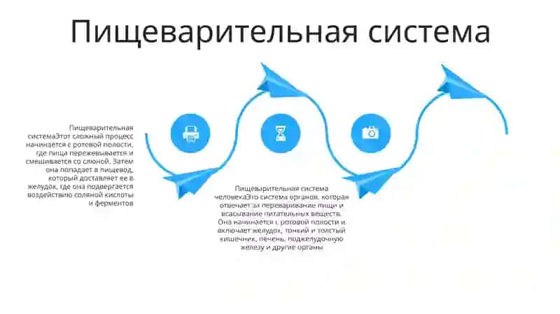 Внутренние Органы Человека 3