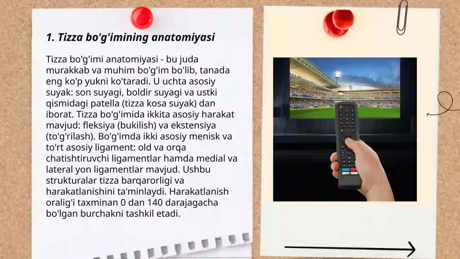 Tizza bo'g'imi 3