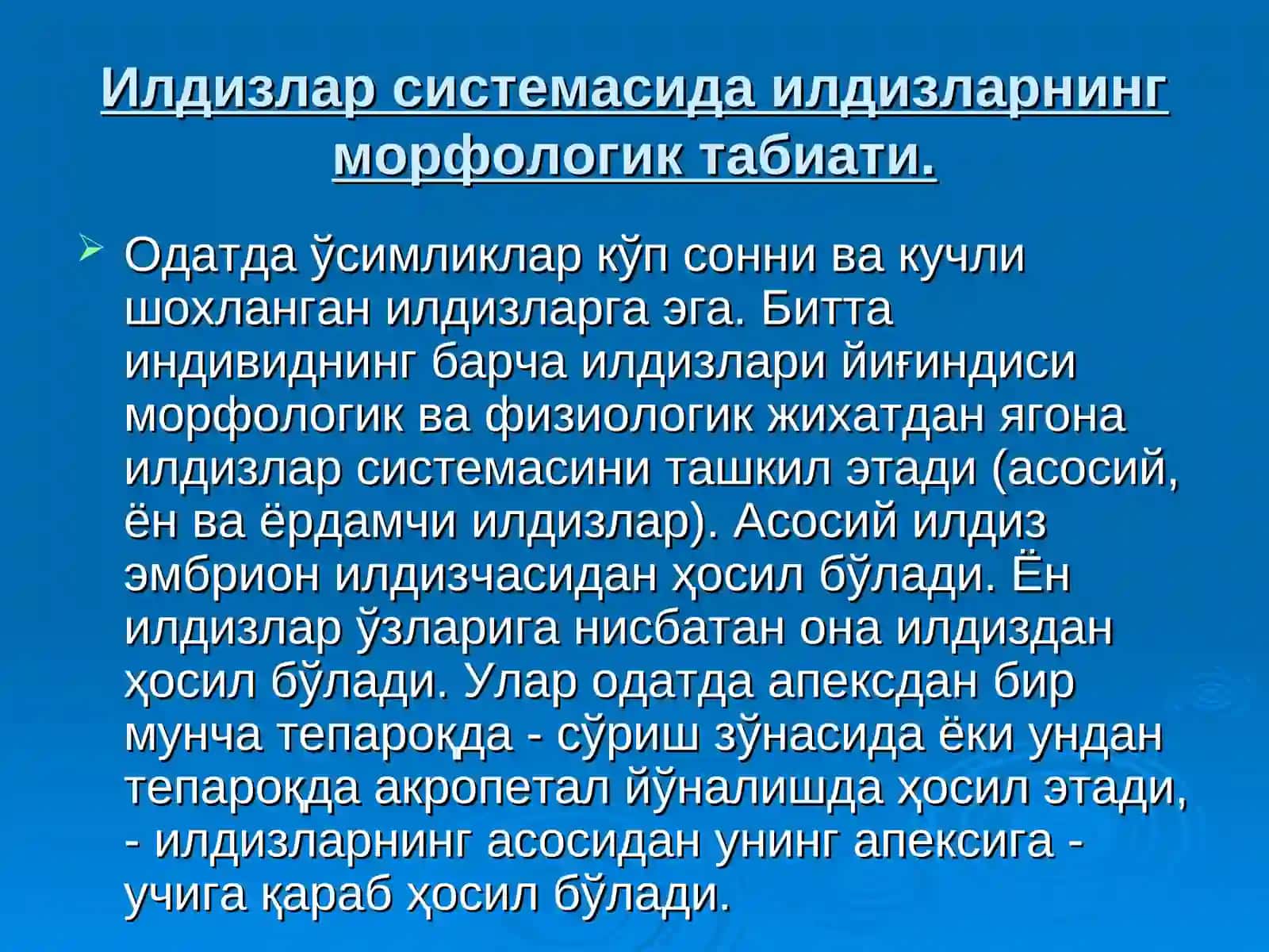 Илдизлар системалари 3