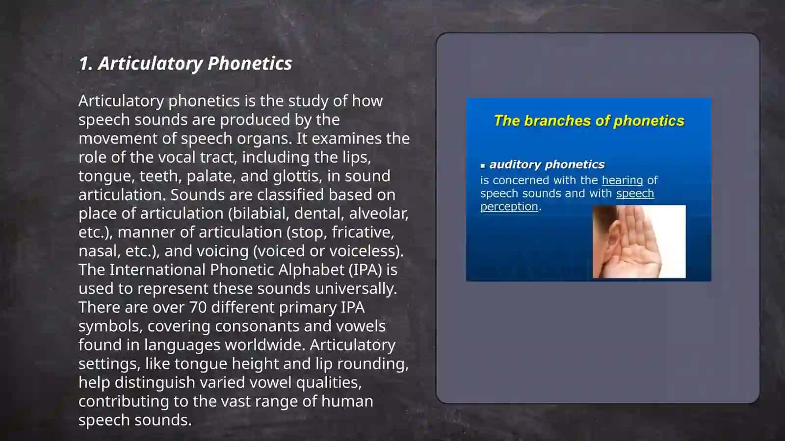 Theoritical Phonetics of English 3