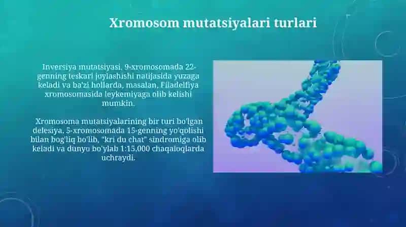 Xromosom mutatsiyalari 3