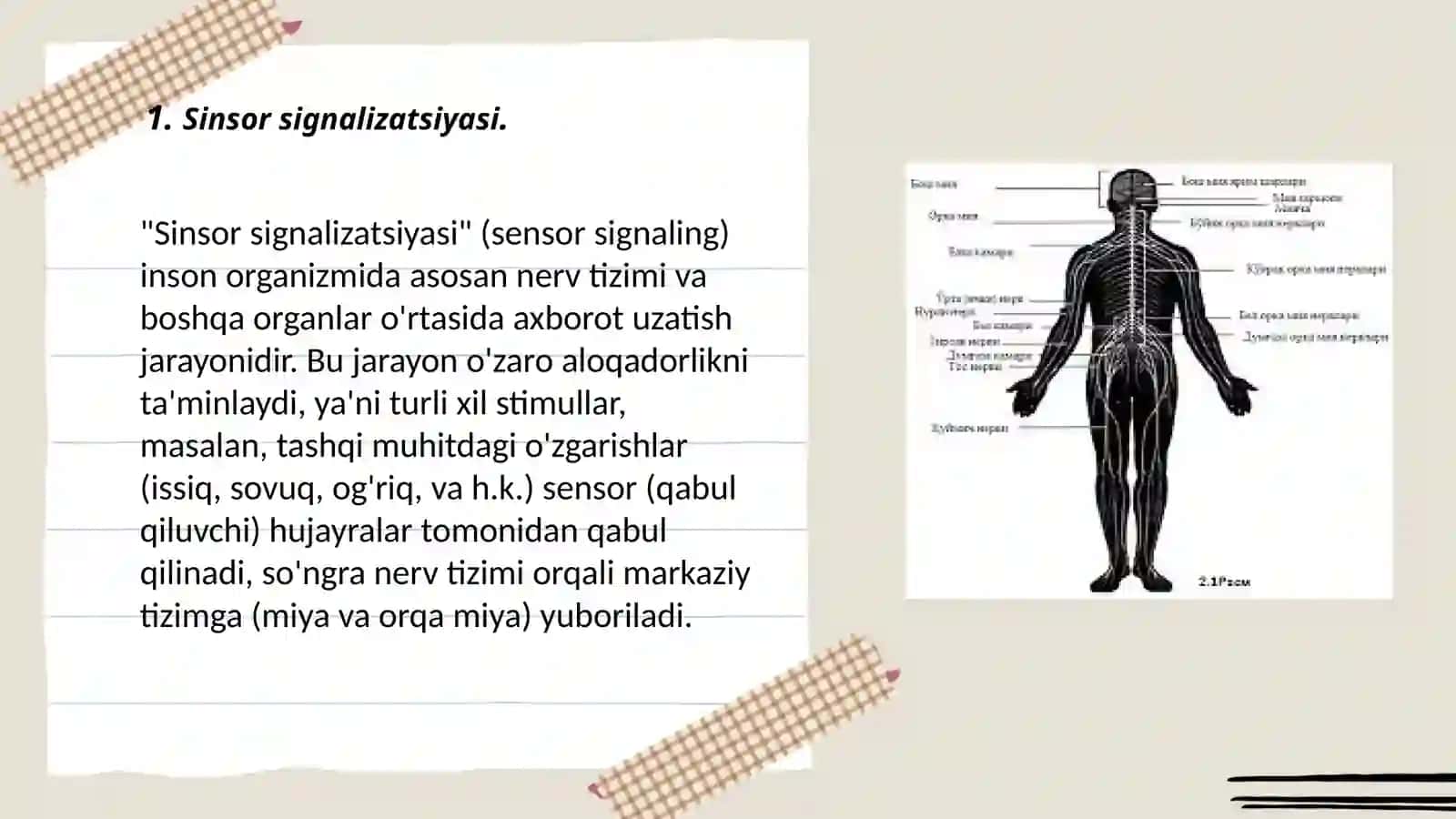 Sinsor signalizatsiyasi 3