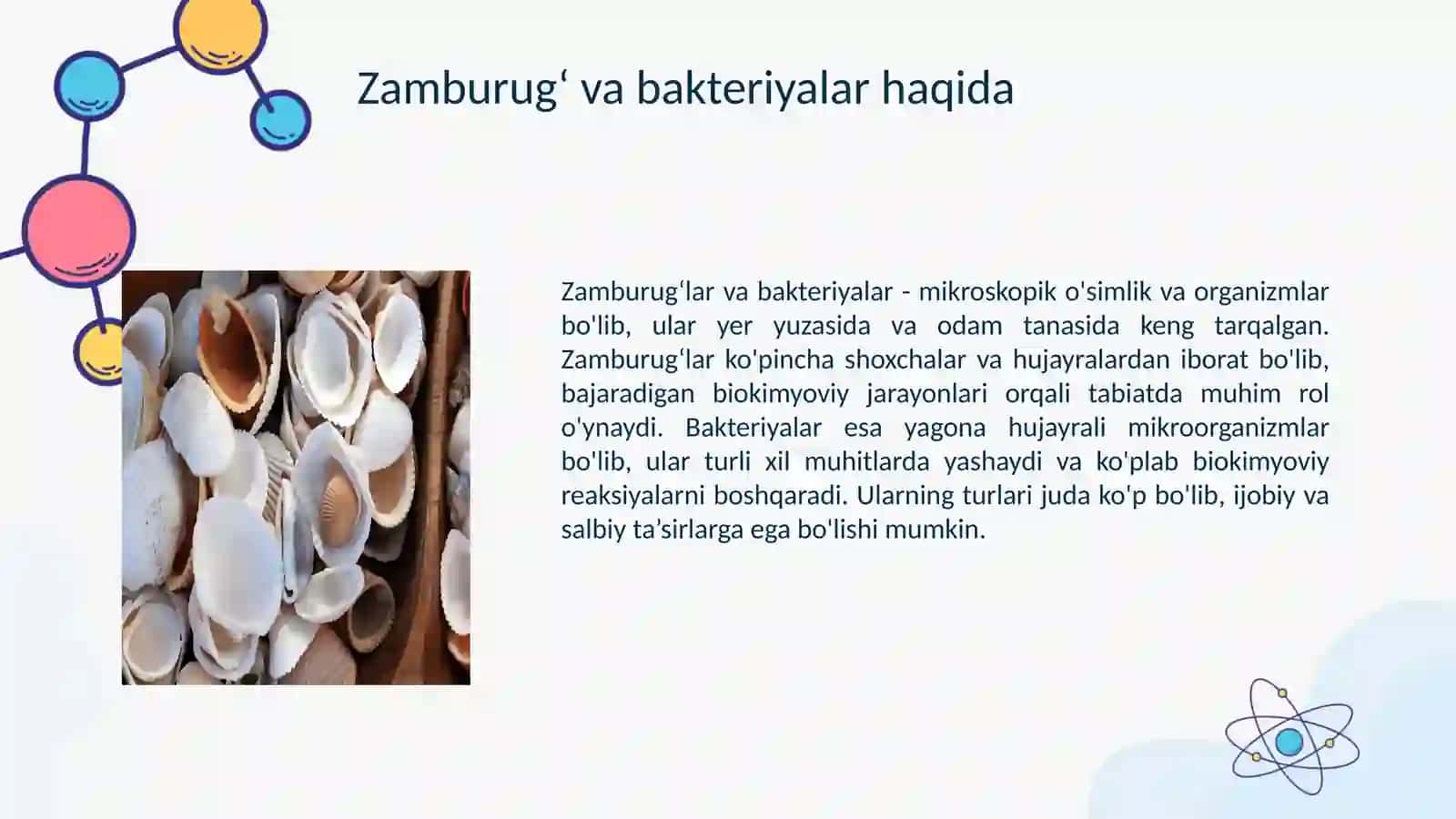 Foydali Zamburogʻ va Bakteriyalar 3