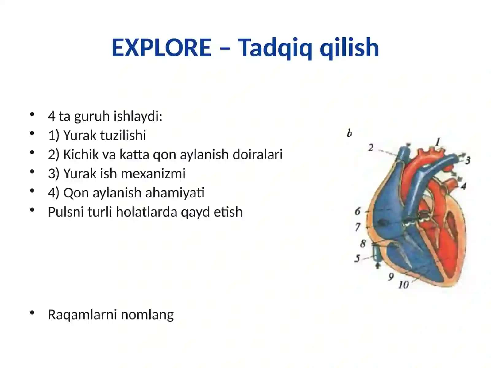 8-sinf Biologiya 3