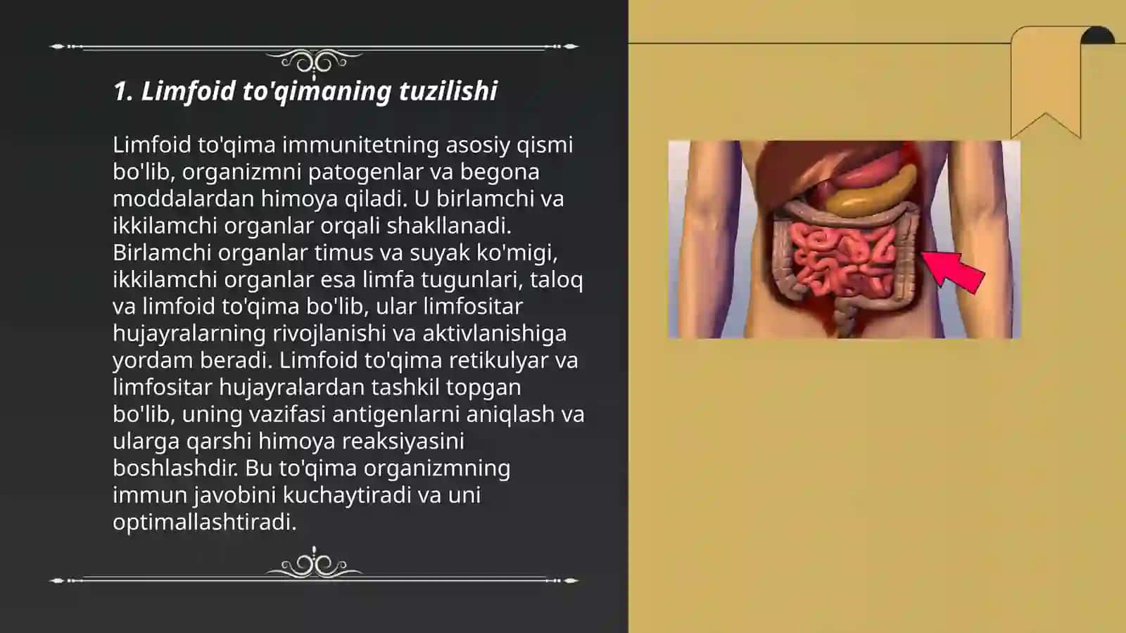 Hazm nayining limfoid tuzilmalari 3