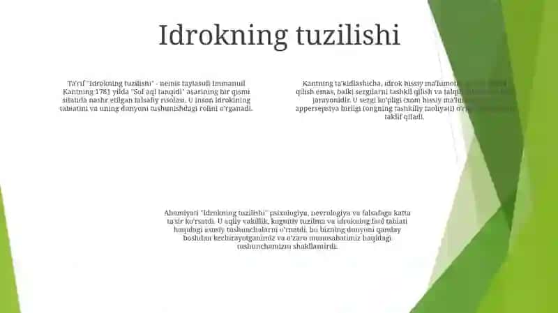 Idrok Akti Va Uning Tuzilishi 3