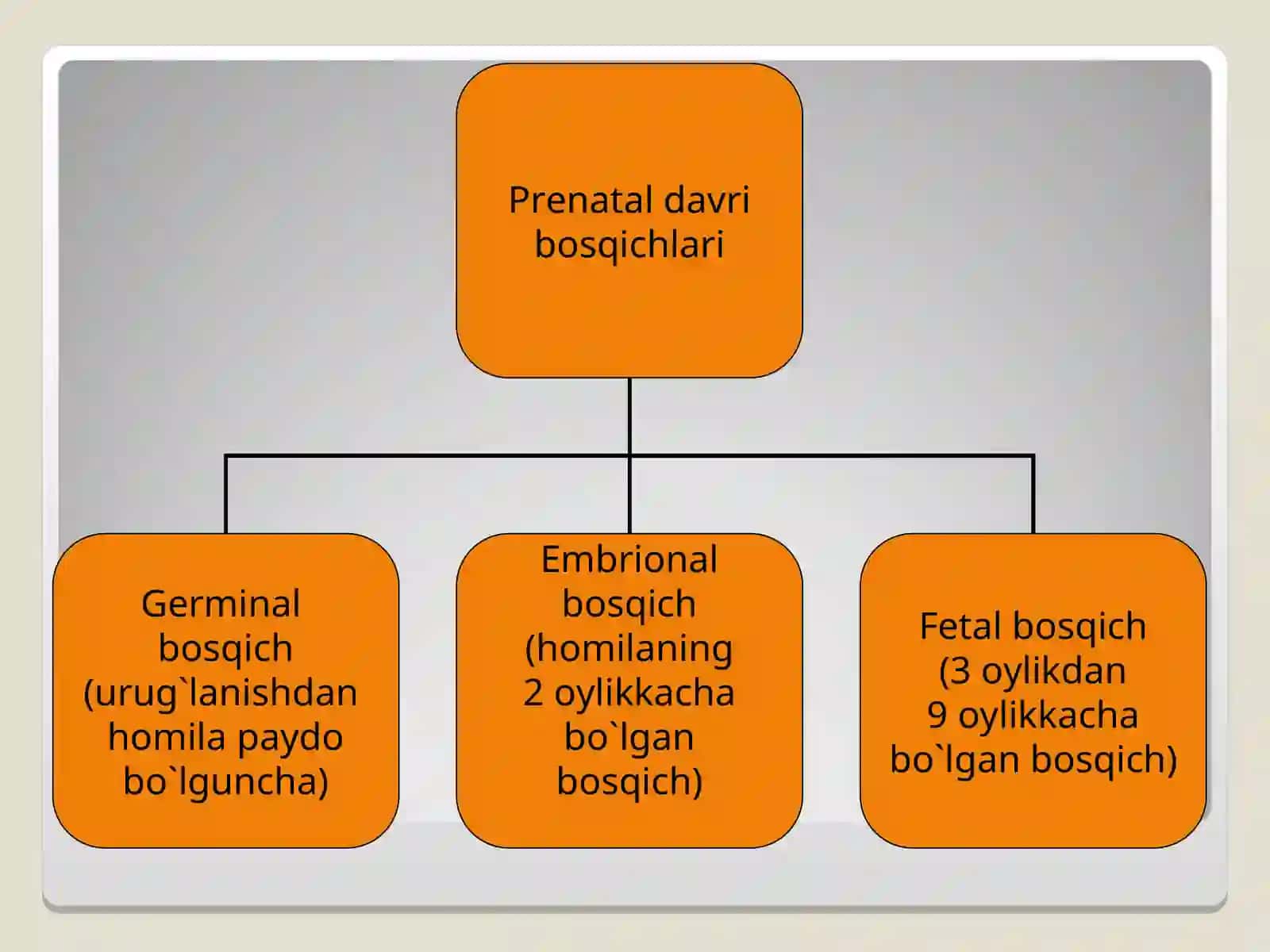 Перинатал (Prenatal davri) 3