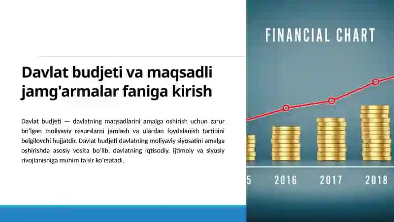 Davlat budjeti va maqsadli jamg'armalar 3
