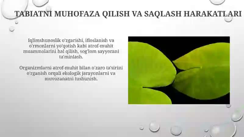 Ekalogiya omillar va muhit 3