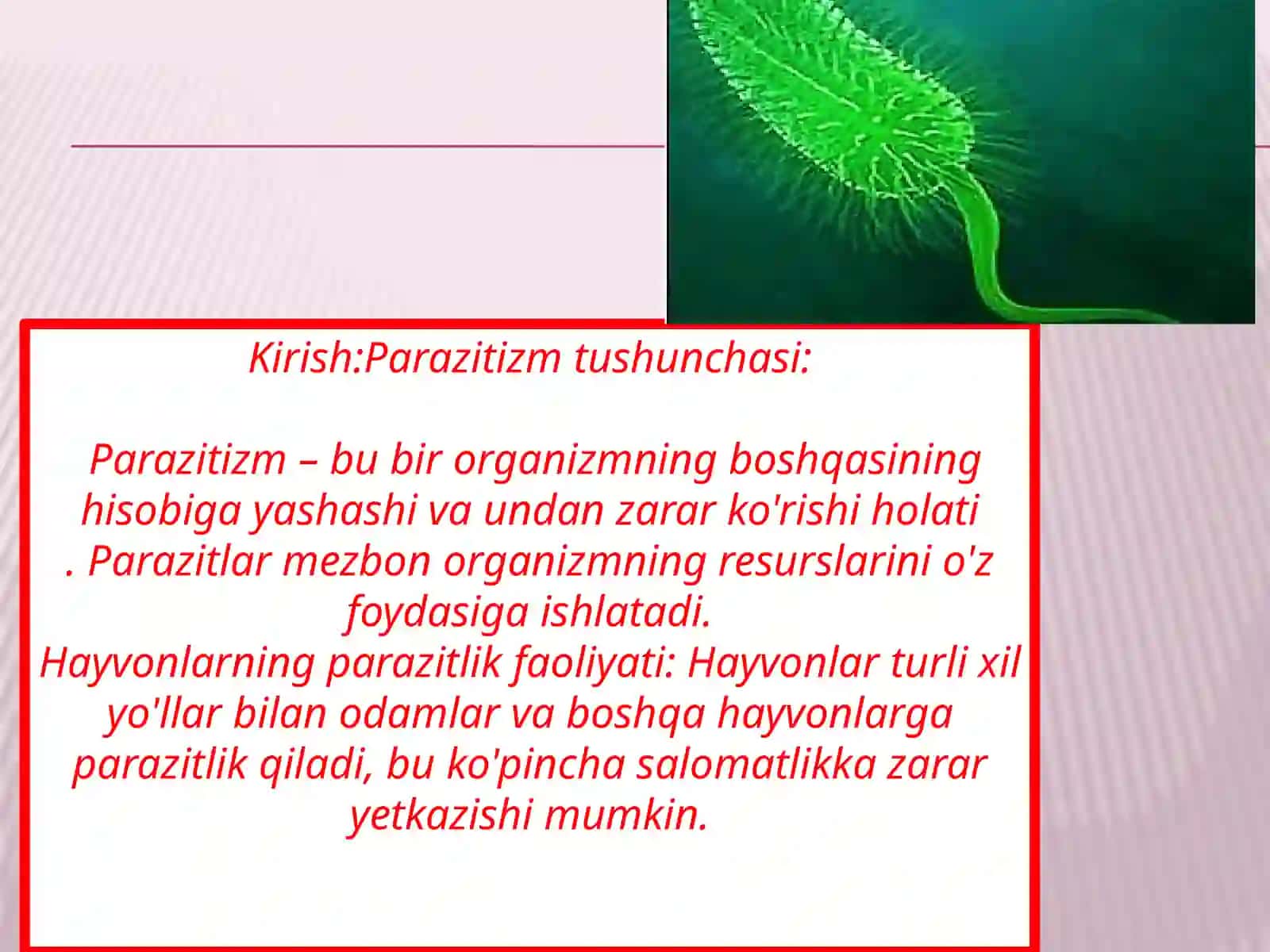 ODAMLARDA PARAZITLIK QILUVCHI SODDA HAYVONLAR 3