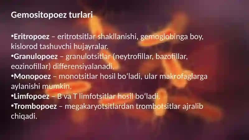 Gemositopoezni neyro-gumoral boshqarilishi 3