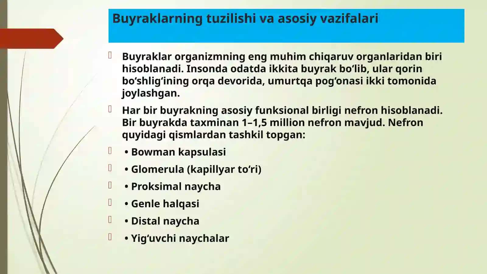 Fiziologiyadan tematik mustaqil ish 3