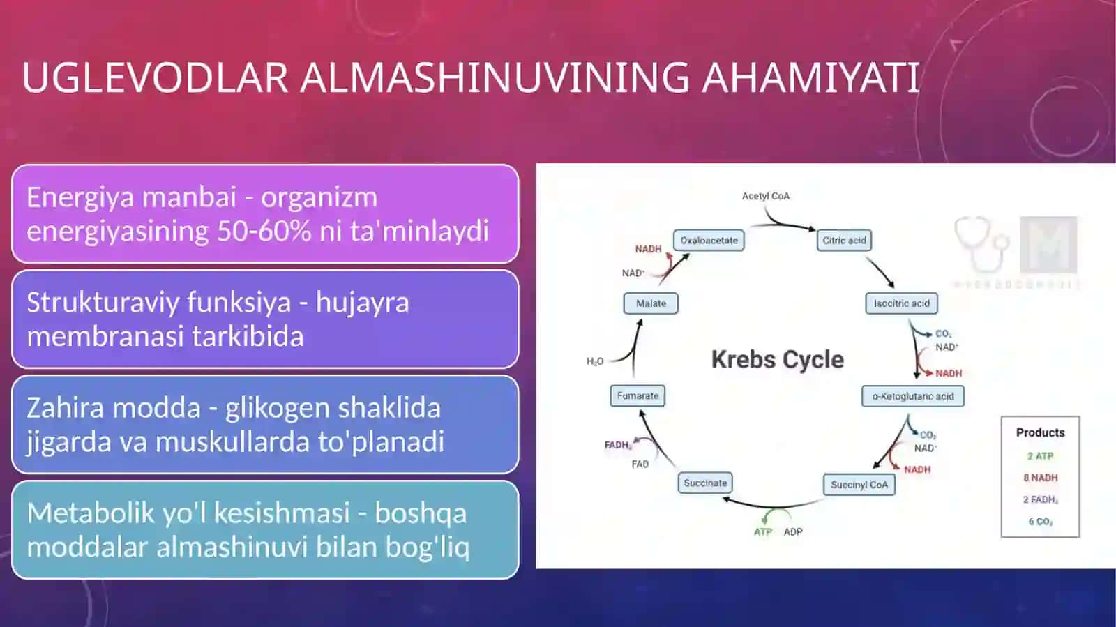 Uglevodlar almashinuvi, glikogen sintezi va parchalanishi 3