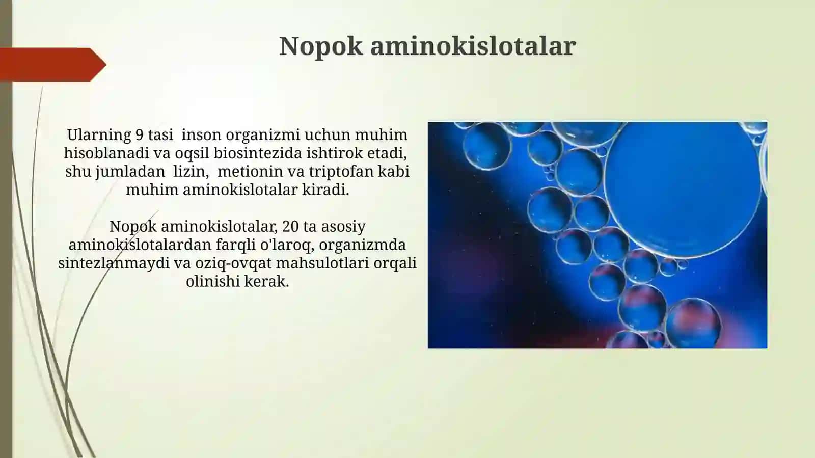 Nopok aminokislotalar 3