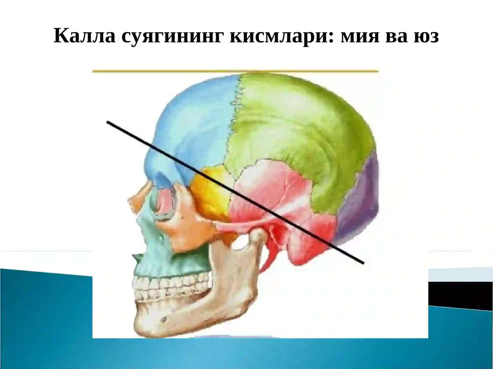 Тошкент Кимё халкаро Университети Тиббий фундаментал фанлар кафедраси 3