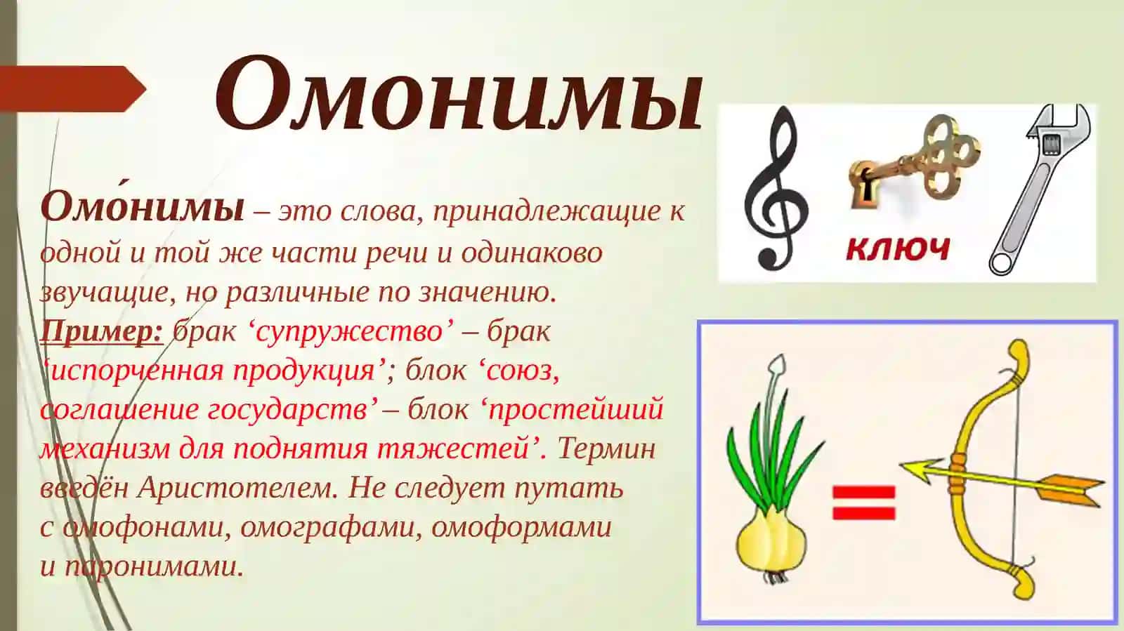 Омонимия и полисемия 3