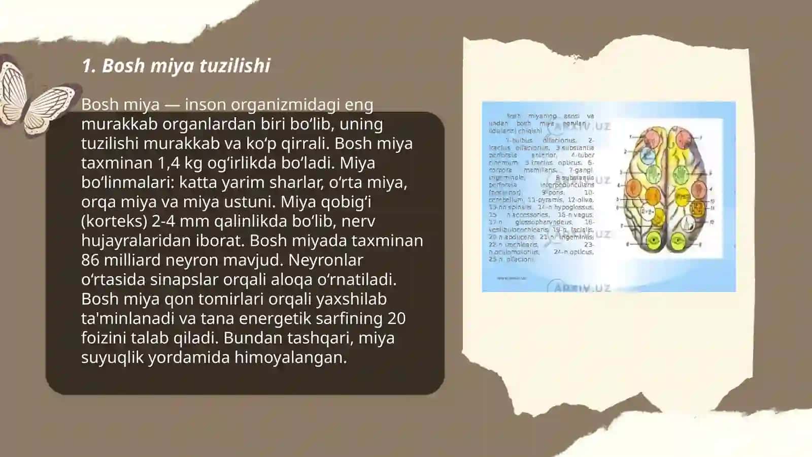 Bosh miya jarohatlari 3