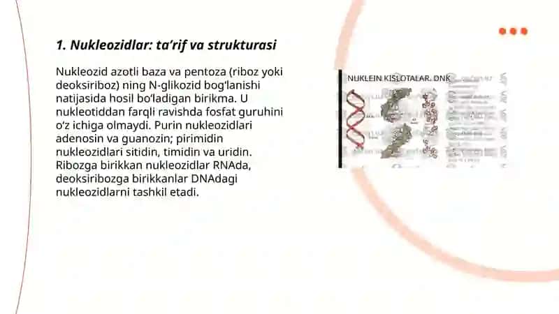 Nukleozidlar.Nukleotidlar 3