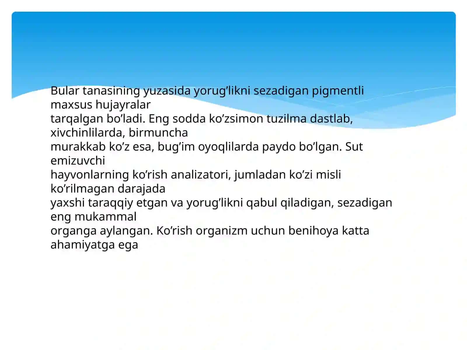 KO’RUV ANALIZATORI.KO’ZNING OPTIK TIZIMI 3
