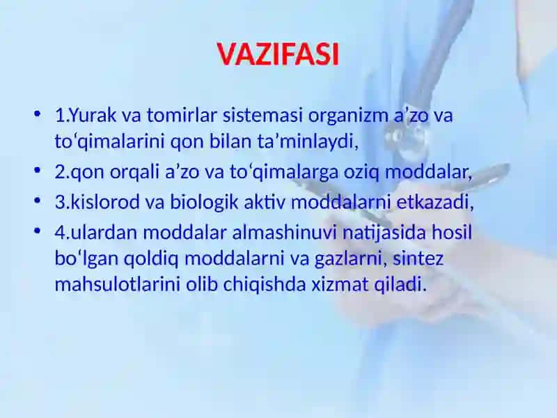 Yurak-Qontomir Tizimi 3