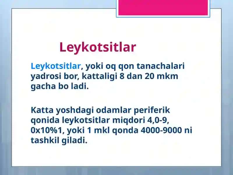 leykotsitlar 3