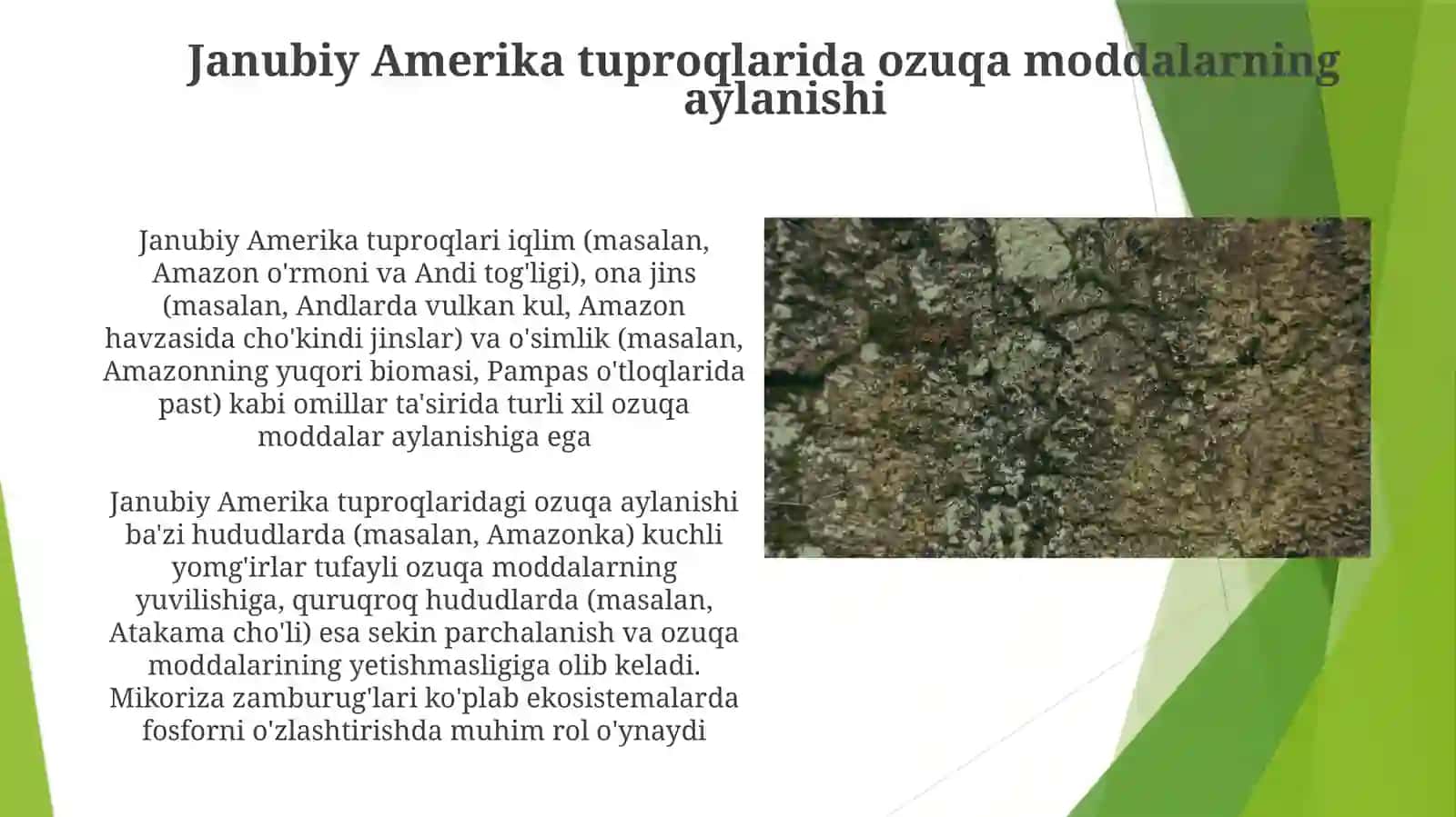 Janubiy Amerika tuproqlari 3