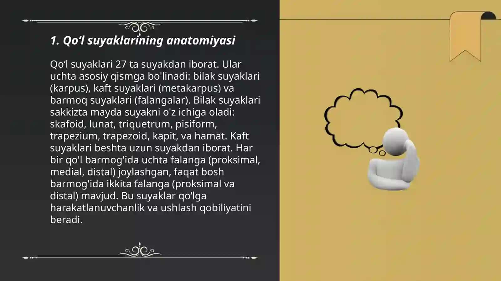 Qoʻl suyaklari muskuli 3
