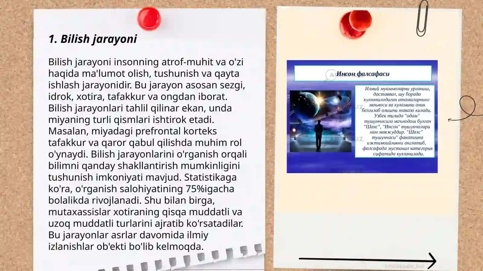 Bilish falsafasi(Gnoseologiya) 3