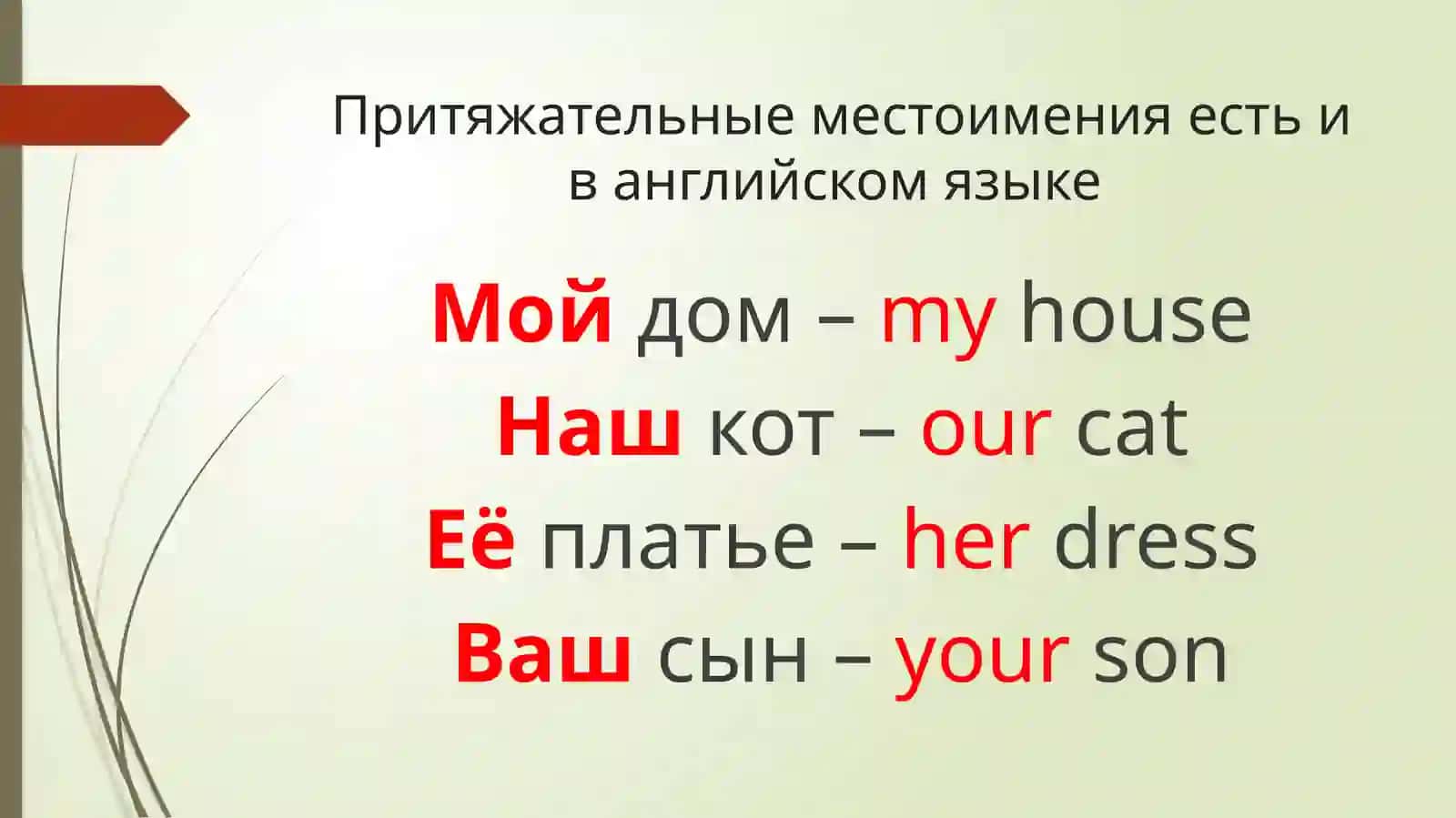 Притяжательные местоимения 3