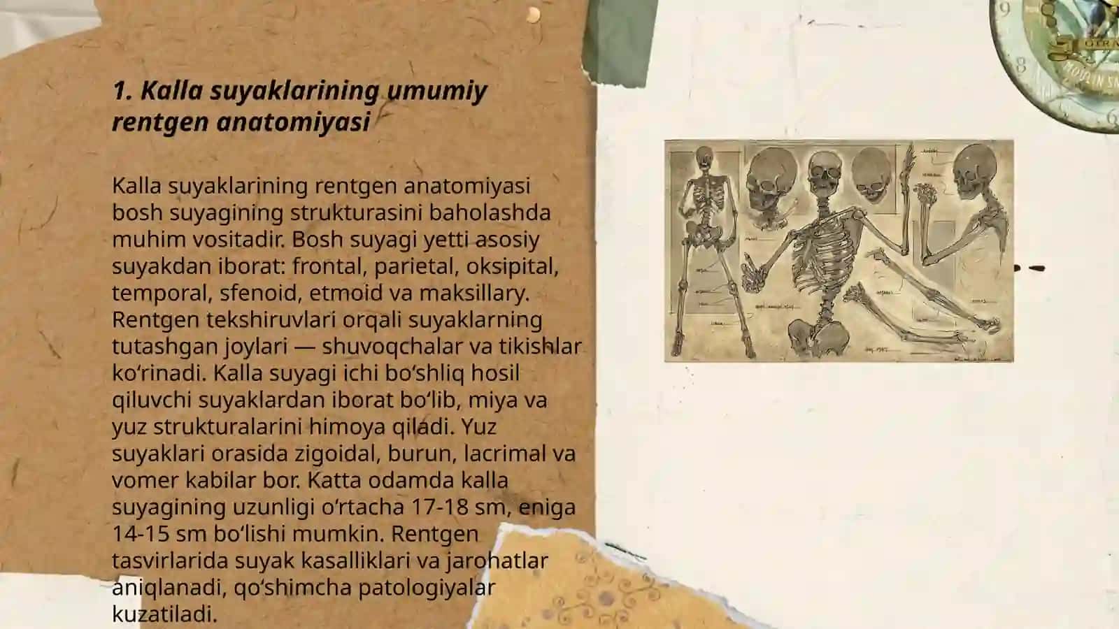 Kalla suyaklarining rentgen anatomiyasi 3