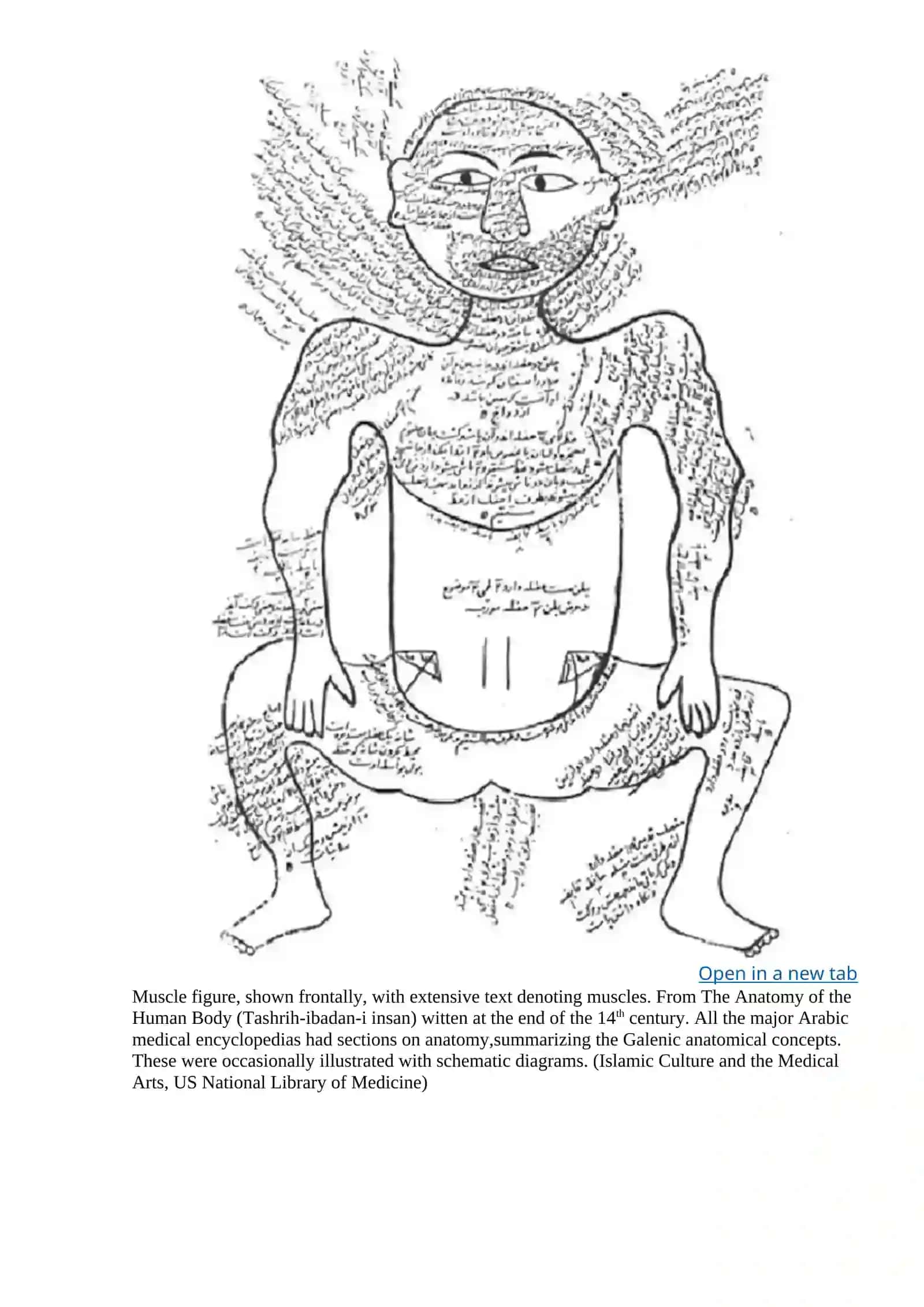 The Golden Age in Arab Islamic Medicine An Introduction 3