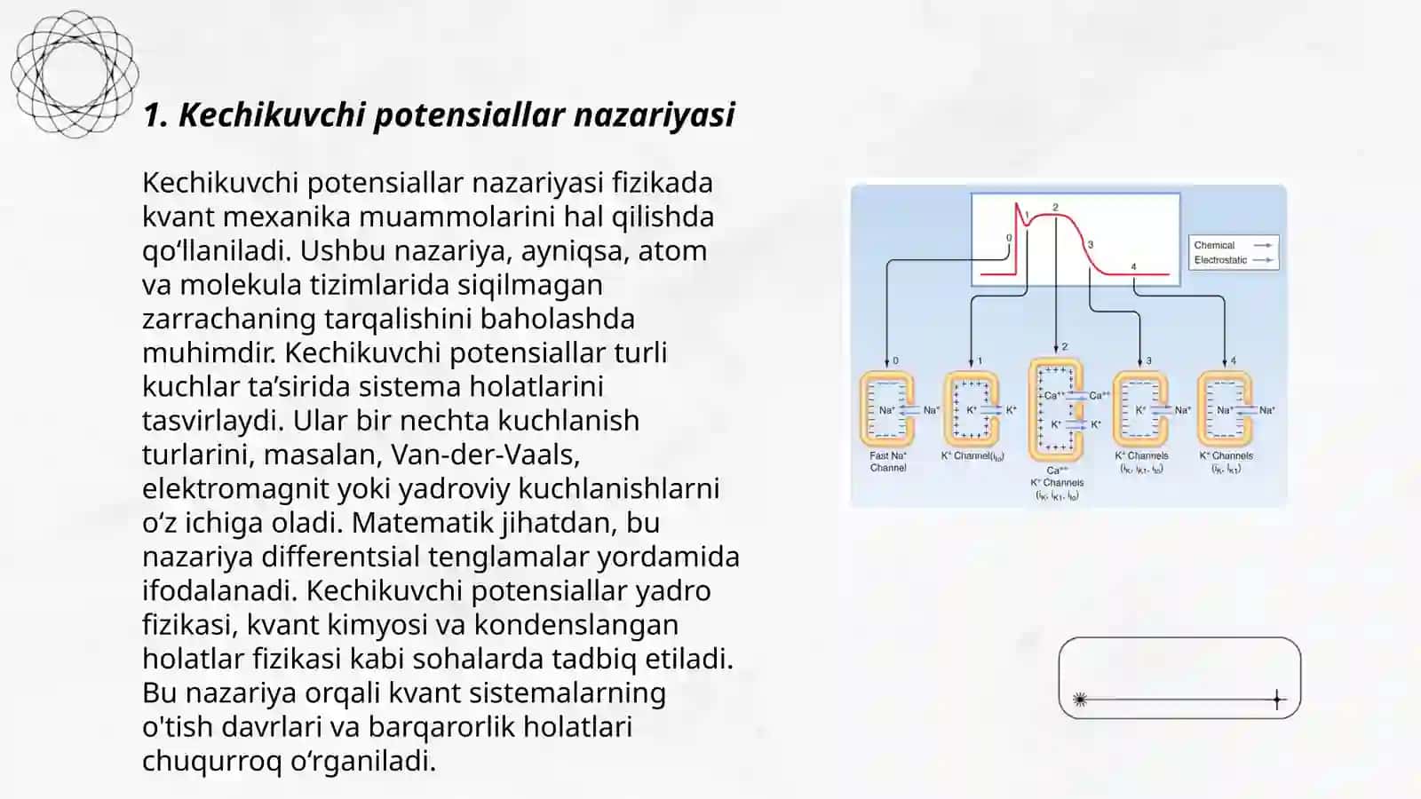Kechikuvchi va o'zuvchi potensiallar 3