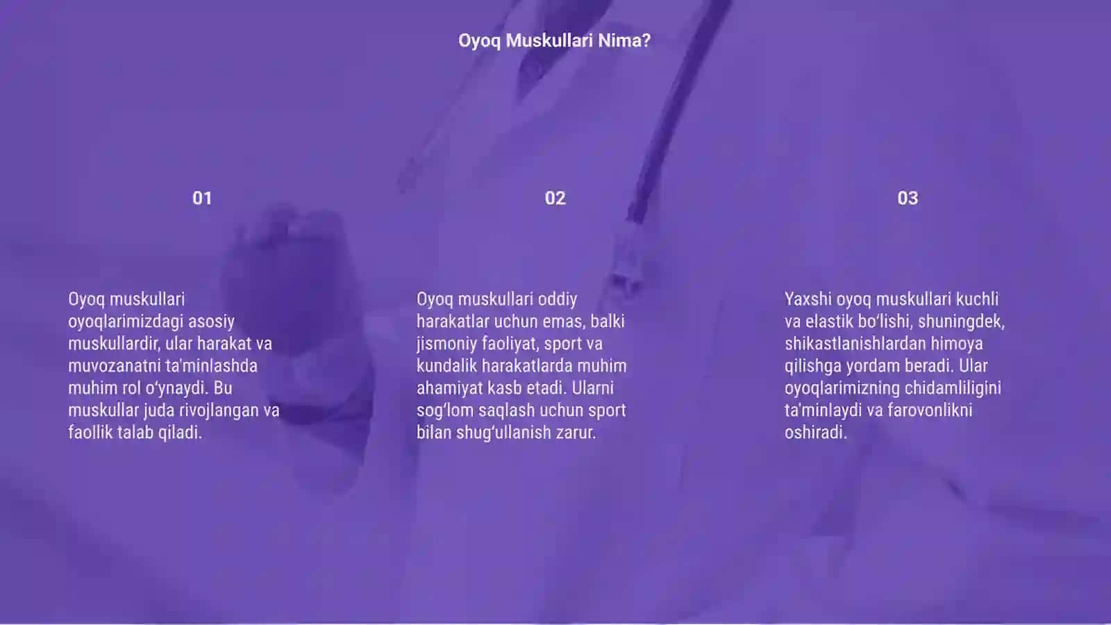 Oyoq muskullari 3