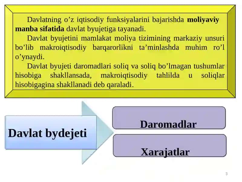 Byujet soliq siyosati 3
