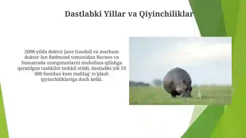 Tapiar san'atini asoschilari 3