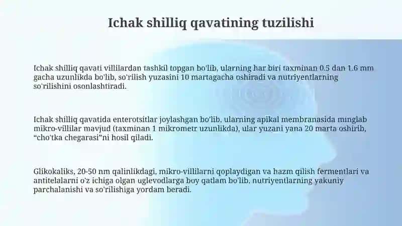 Ichak shilliq qavati 3
