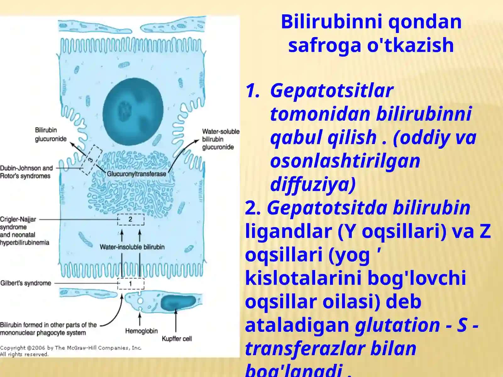 YANGI TUG'ILGAN CHAQALOQLARDA SARIQLIK 3