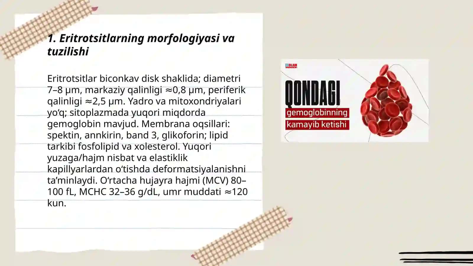 Eritrotsitlar. Gemoglobin va uning turlari 3