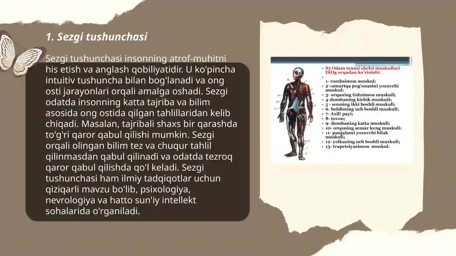 Sezgi turlari va uning qonuniyatlari 3