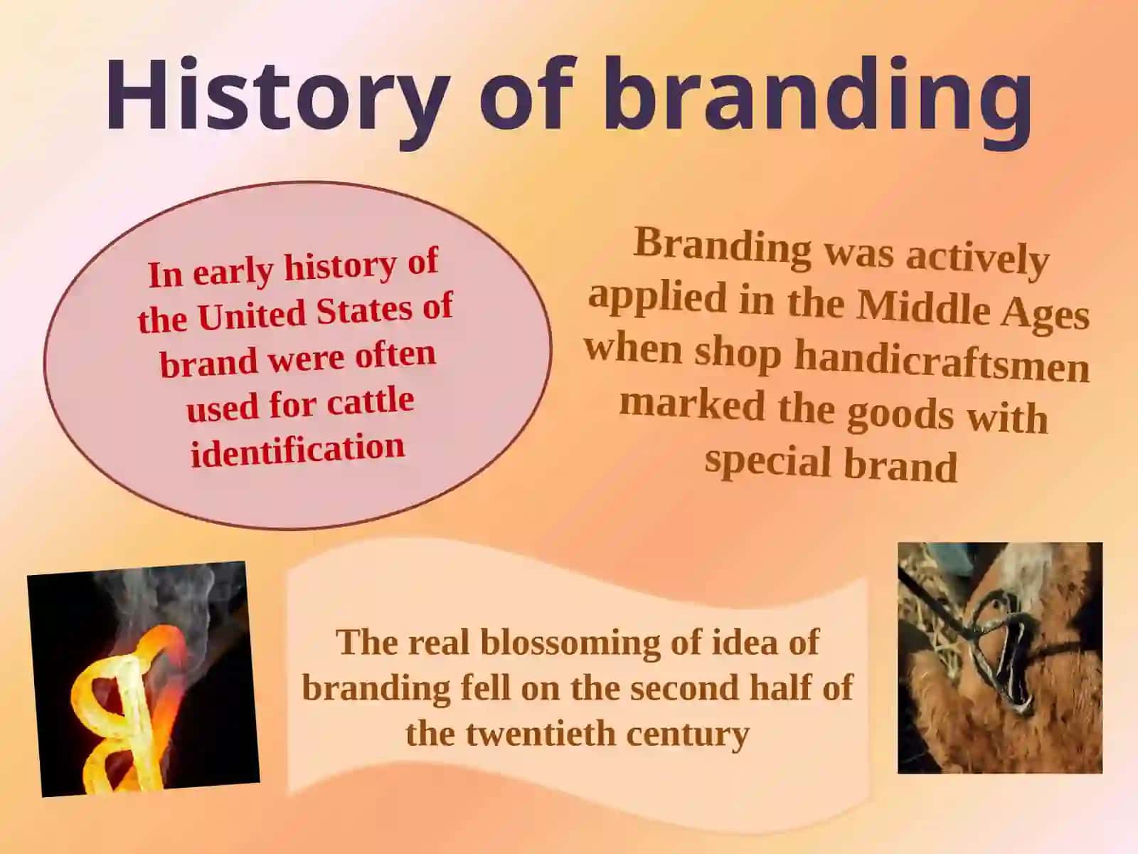 Branding 3